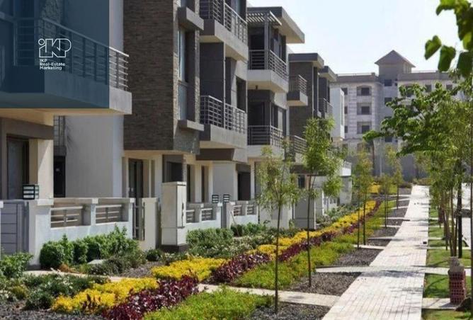 8082046 - Property Image 3