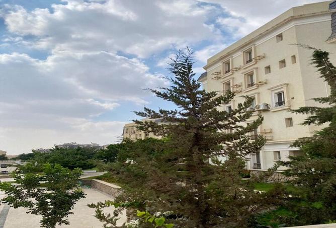 8466077 - صورة العقار 2