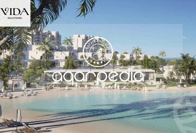 8202662 - Property Image 3