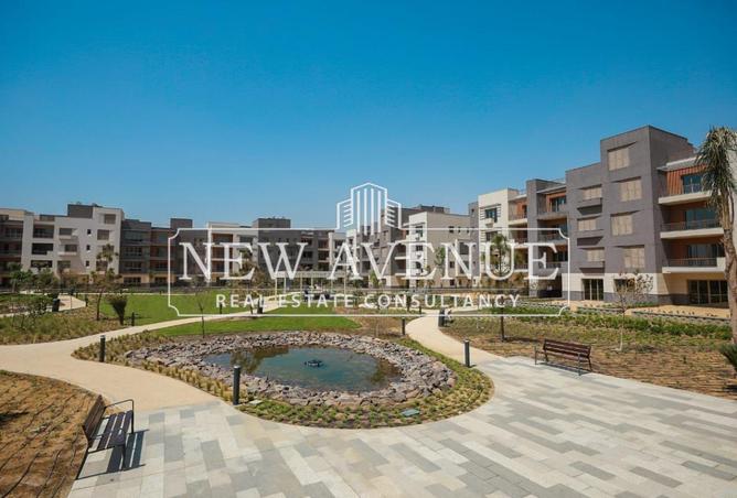 8466276 - Property Image 2