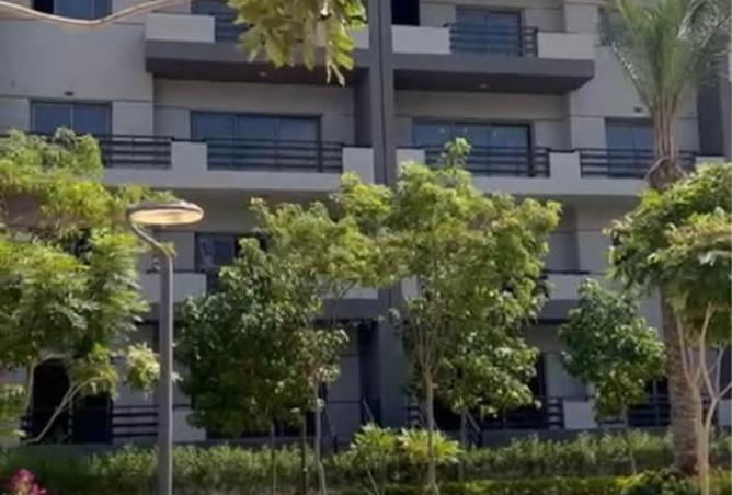 8132632 - Property Image 3