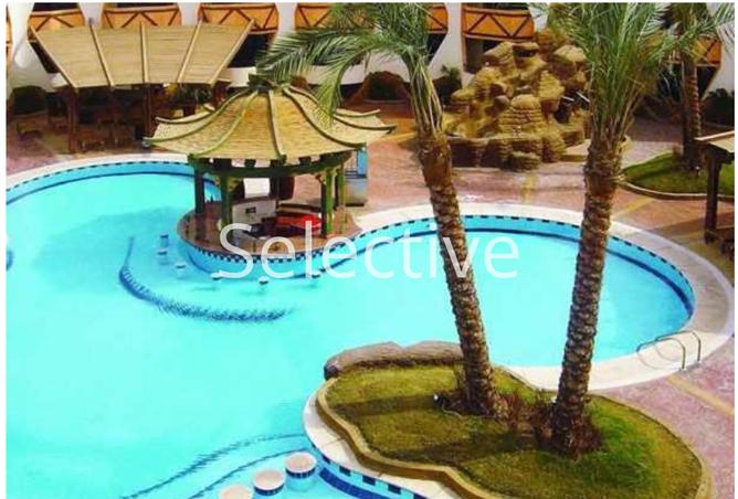 7905835 - Property Image 2