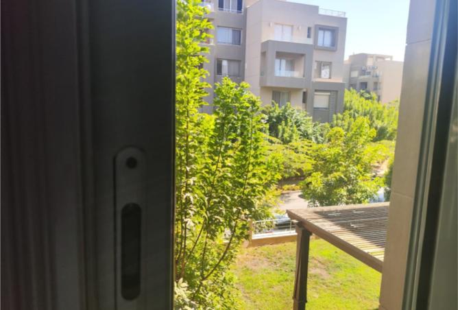 8092532 - صورة العقار 3
