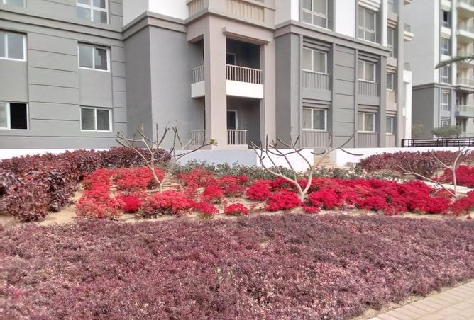 7970162 - صورة العقار 3
