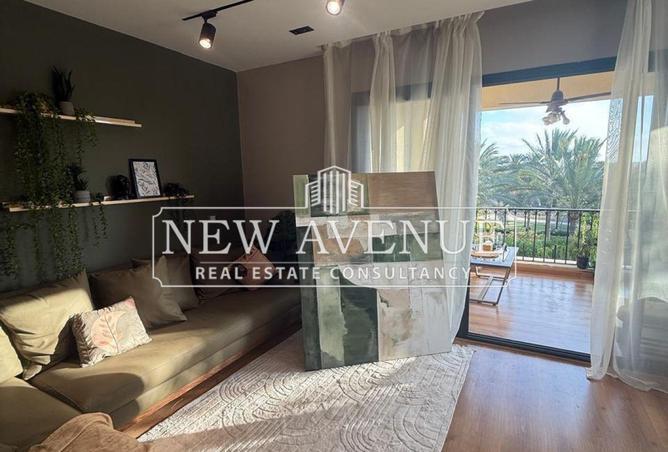 8184871 - Property Image 3