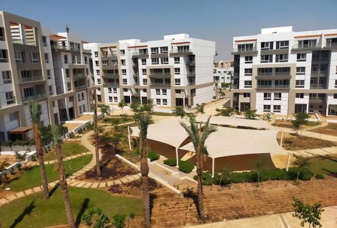 8136785 - صورة العقار 2