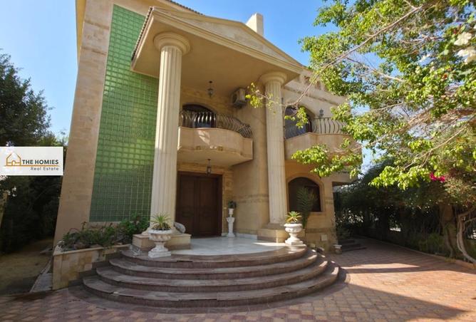 8452306 - الصورة الرئيسية للعقار