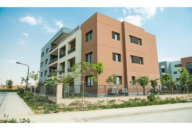 8227398 - Property Image 2