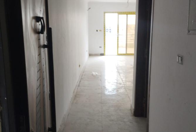 8265140 - Property Image 3