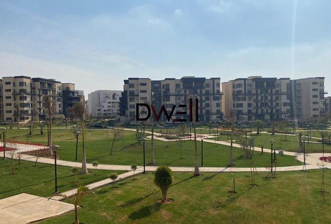 8442233 - Property Image 3