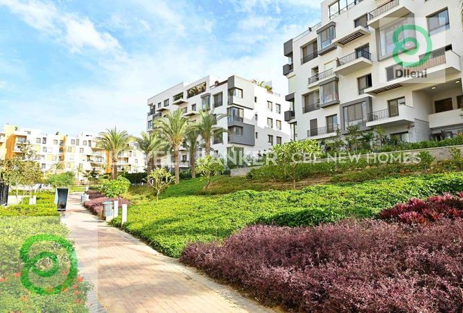 8275471 - Property Image 3