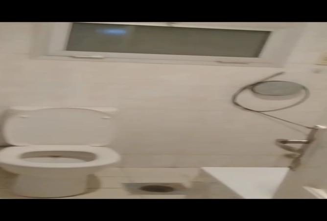 7920032 - Property Image 3