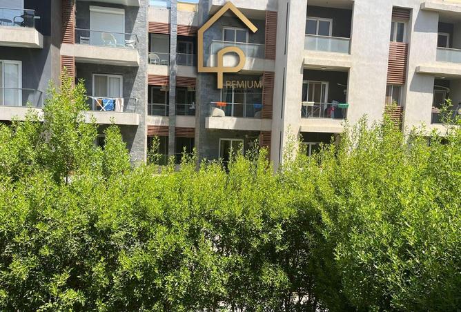 8190196 - صورة العقار 2