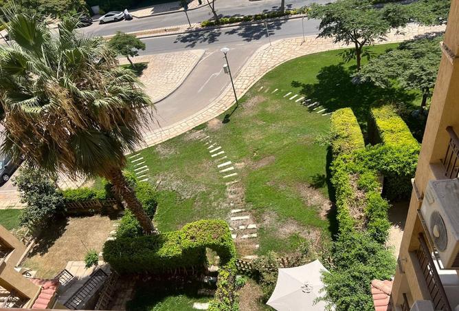 7987965 - صورة العقار 2