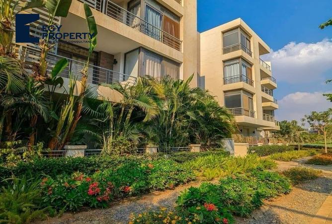 8053866 - Property Image 2