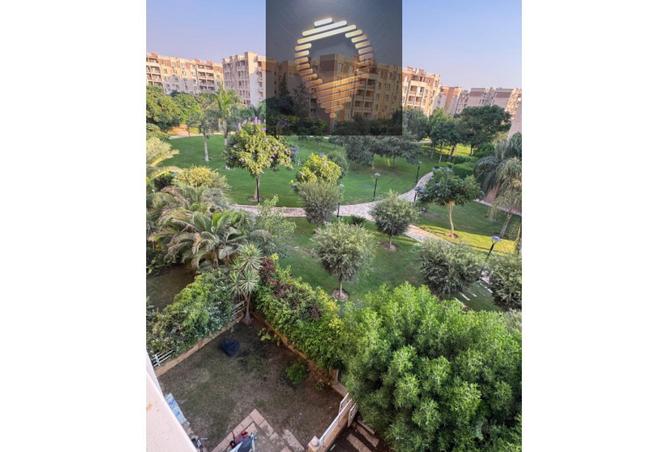 8151314 - صورة العقار 2