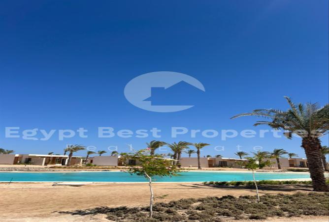 7971014 - الصورة الرئيسية للعقار