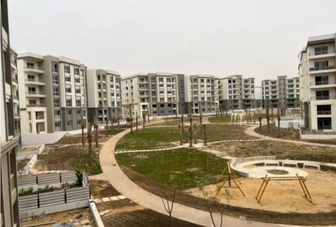 8235408 - صورة العقار 2