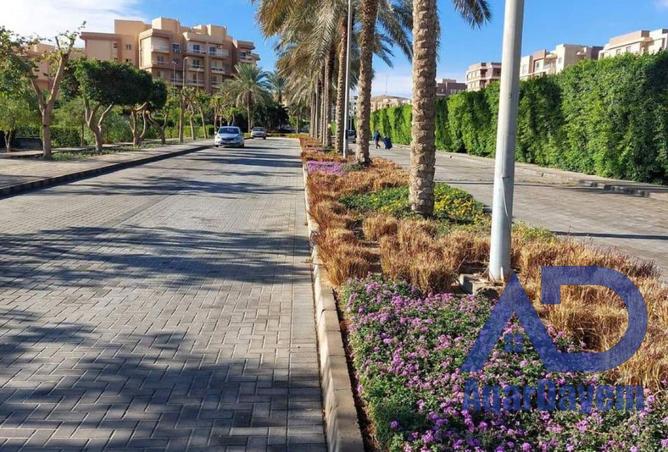 8479049 - صورة العقار 2