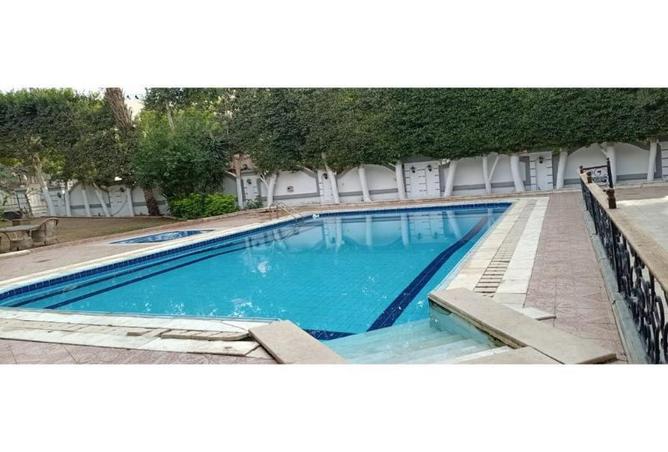 7897889 - Property Image 3