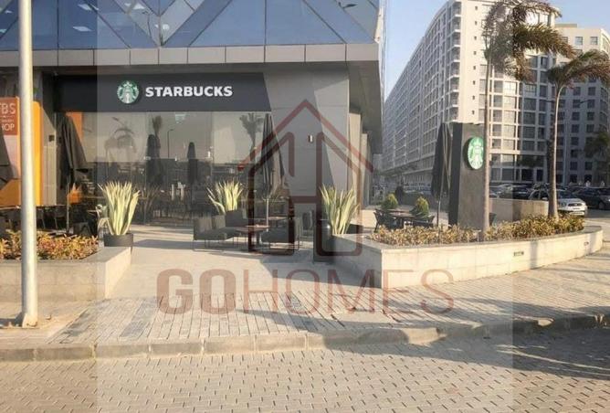 8332401 - Property Image 3