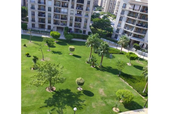 8391825 - Property Image 3