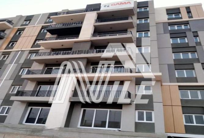 7935839 - Property Image 3