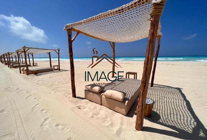 8491744 - Property Image 3