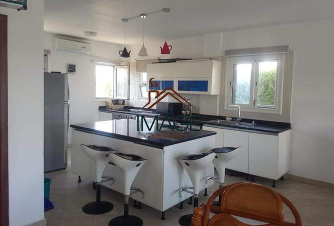 8445728 - Property Image 3