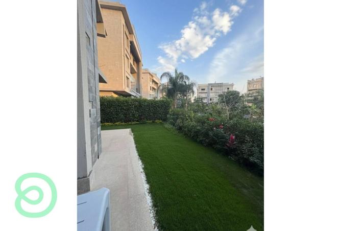 8385352 - Property Image 3