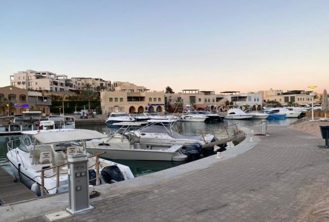 8209669 - صورة العقار 2