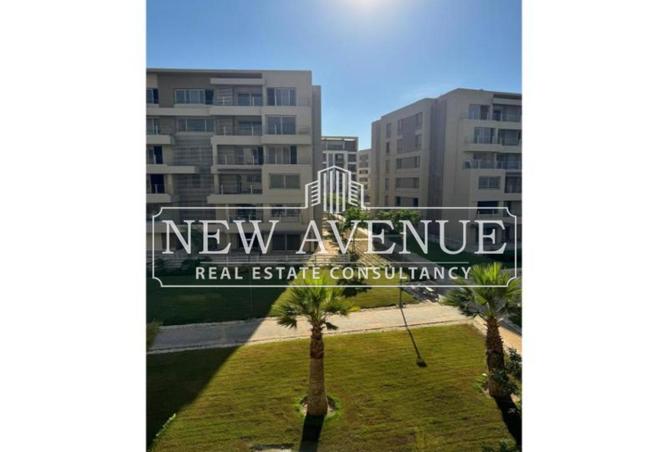 8138456 - Property Image 3