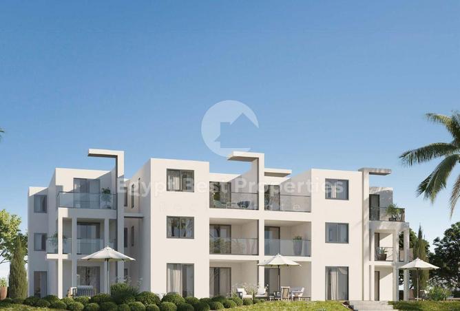 7940325 - Property Image 3