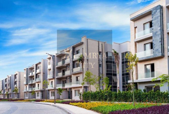 8174797 - Property Image 3