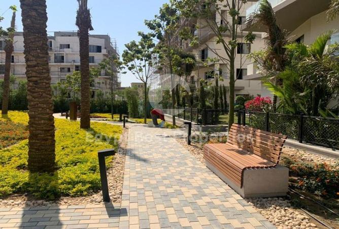 8273017 - صورة العقار 3