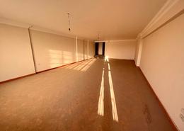 Apartment - 4 bedrooms - 3 bathrooms for للايجار in Ademon Fremon St. - Smouha - Hay Sharq - Alexandria