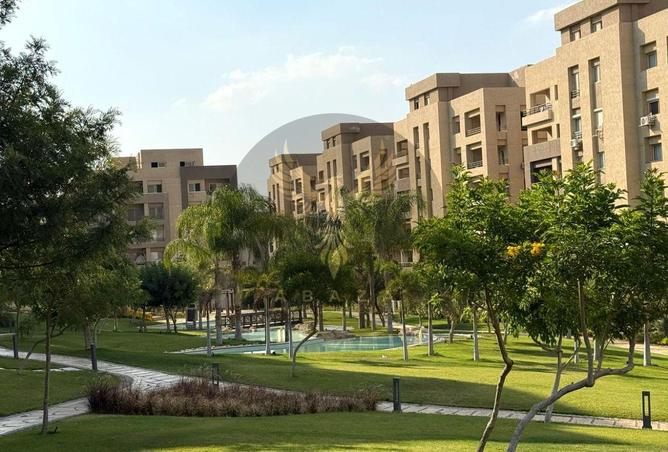 7915465 - الصورة الرئيسية للعقار