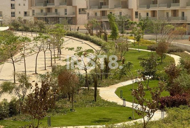 8015244 - صورة العقار 3