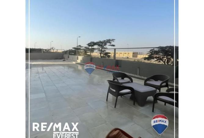 8151873 - صورة العقار 3