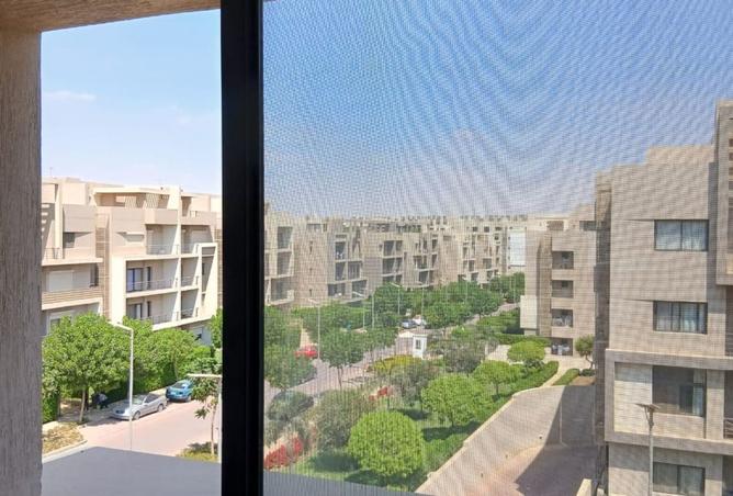 7985448 - Property Image 3