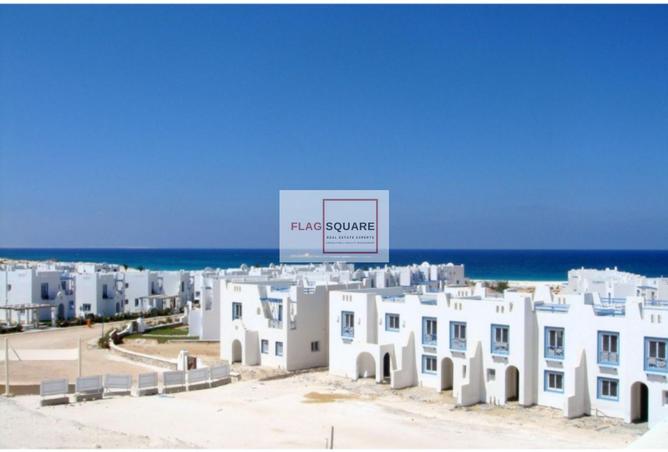 8315629 - Property Image 2