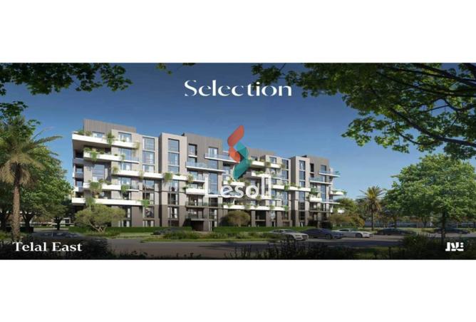 8133323 - Property Image 2