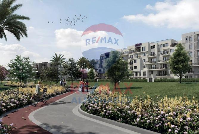 8524040 - Property Image 3