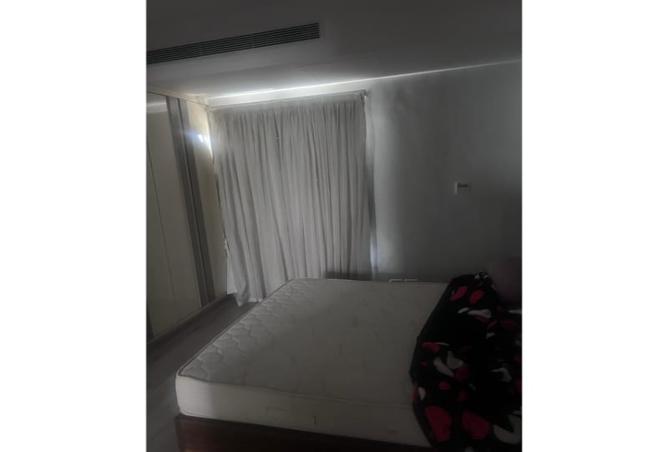 8107094 - Property Image 2