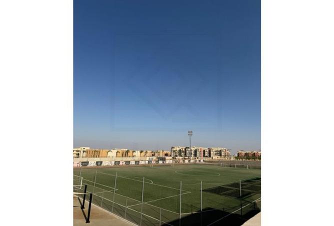 7967141 - صورة العقار 3