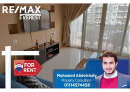 Apartment - 3 Bedrooms - 2 Bathrooms for rent in Jewar - 13th District - Sheikh Zayed City - Giza