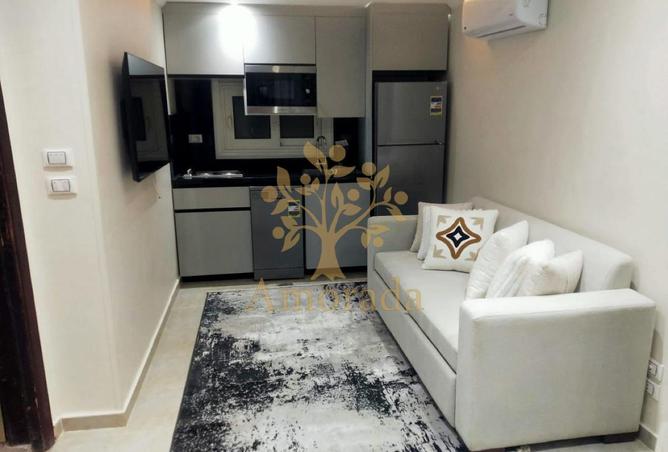 8074248 - Property Image 2