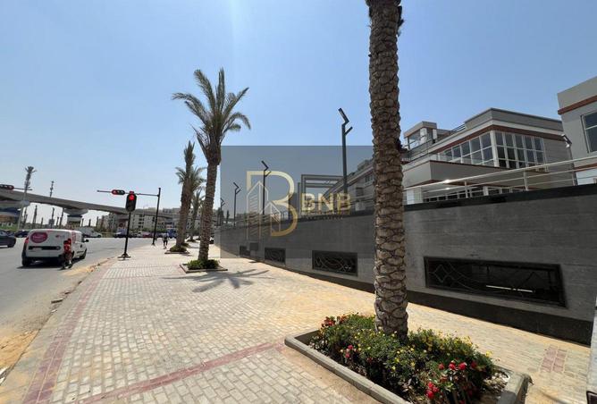 8200696 - الصورة الرئيسية للعقار