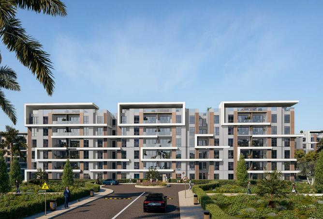 8097091 - Property Image 3
