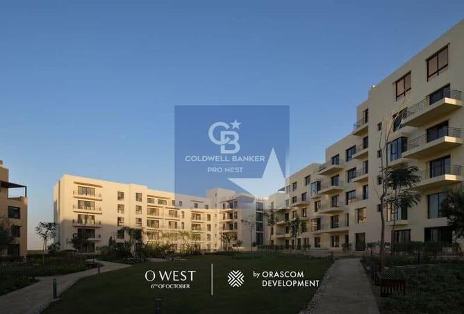 7979748 - Property Image 2